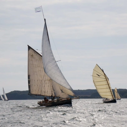 Traditionelle Segelboote mit klassischen Segeln auf einer ruhigen Wasseroberfläche. Im Hintergrund sind weitere Segelboote und eine bewaldete Küstenlinie zu sehen